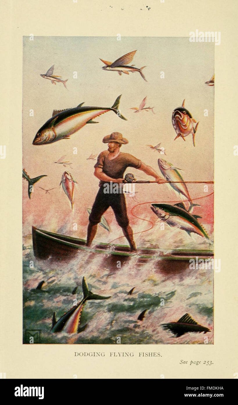 Real Member Experiences Reveal Our Communitys True Impact